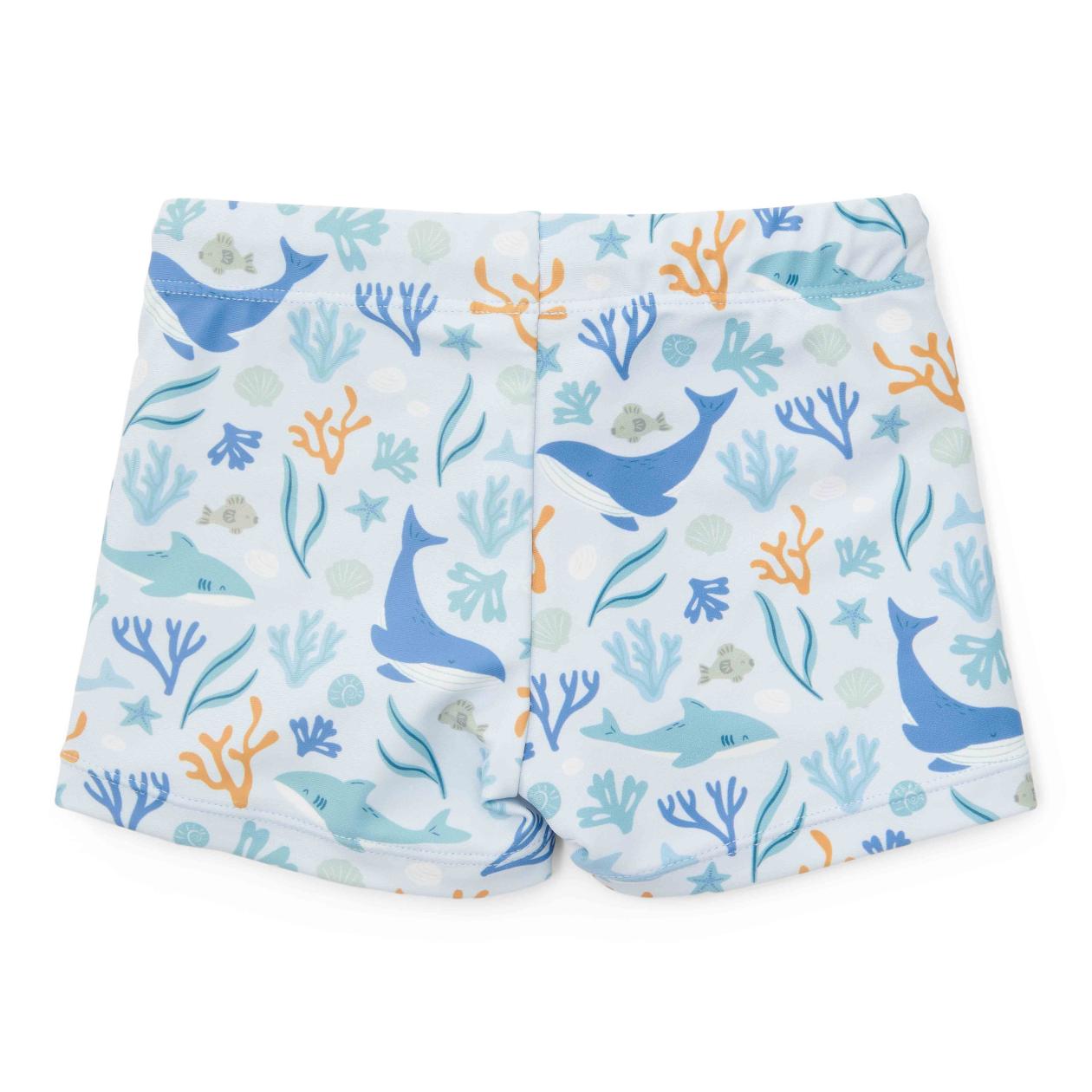 Swimpants Litte Dutch coral sea