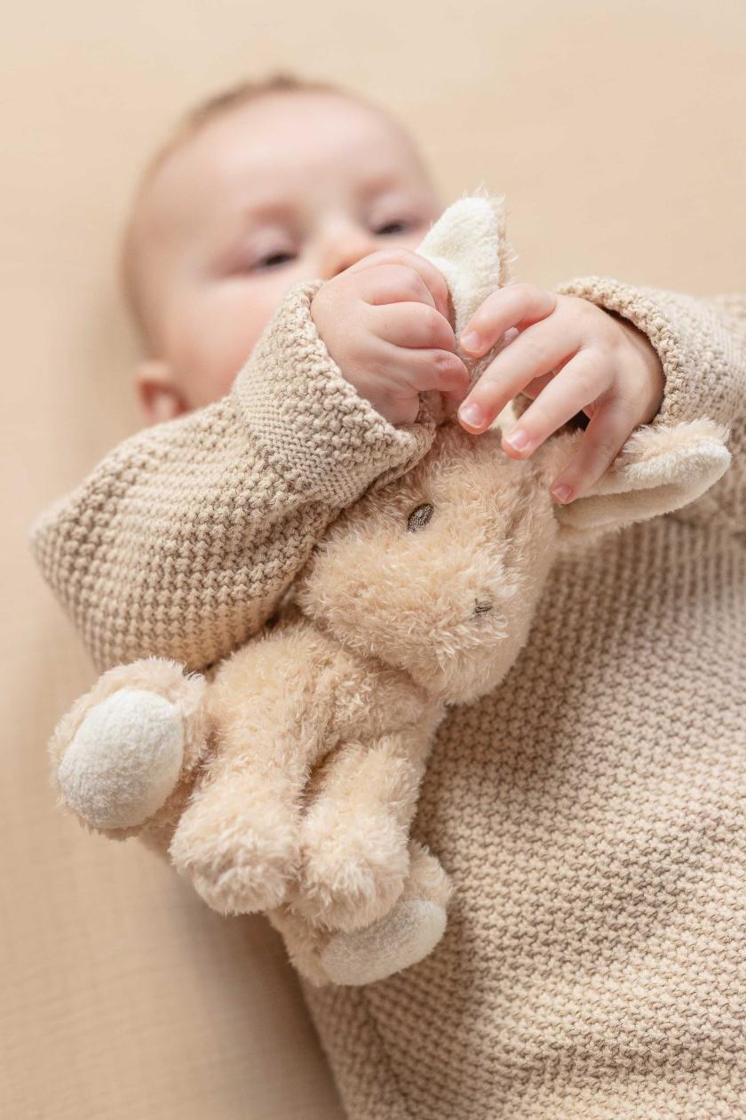 Cuddle bunny 15 cm Little Dutch Baby Bunny