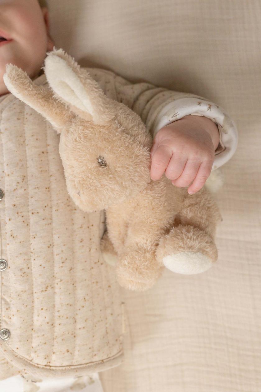 Cuddle bunny 15 cm Little Dutch Baby Bunny